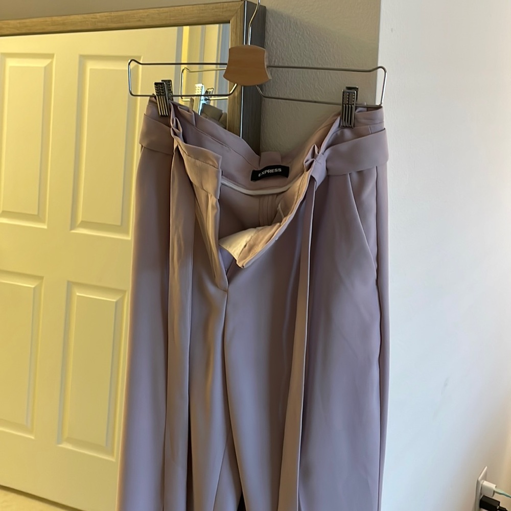 Blush Pant - EXPRESS